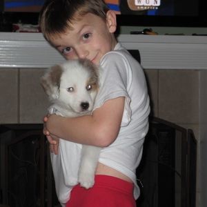 Meet your Posher, Jon